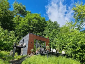 Forest Studio Corunca - Image 2