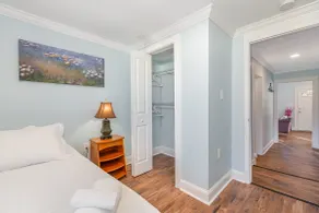 Modern Cozy House In The Heart Of Hillsborough - Image 5