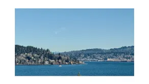 Stunning Lakeview w/balcony, 6 min to lightrail - Image 3