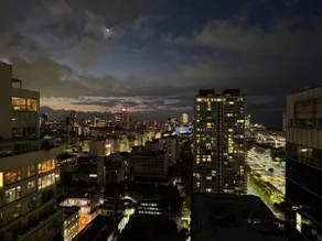 The best Puerto Maderos view from a 23rd floor - Image 4