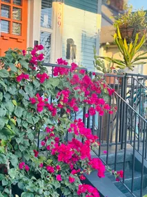 Charming Creole Cottage near French Quarter - Image 2