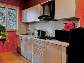 Tropical Paradise | 1 BHK - Image 4