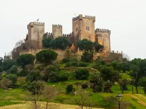 Alojamiento Los Naranjos - Image 5