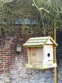 The 38: Nature-inspired maisonette - Image 4