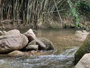 Casa de Campo with River and Trails - Image 2