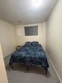 Spacious 3BR Lower level Suite Near Airport & Vivo - Image 4