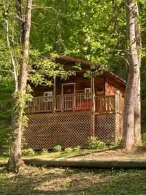 Sleepy Bear: Clamping Cabin on the RIver - Image 2