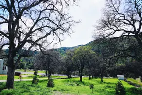 A Luxury Yosemite Retreat - Image 5