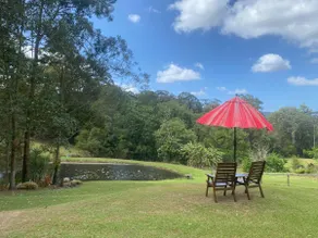 Laze-away Studio on Acreage - Image 4