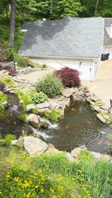 3+ acres, fast wi-fi, garage parking, Koi pond - Image 3