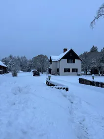 Close to the forest and mountains all year round - Image 2