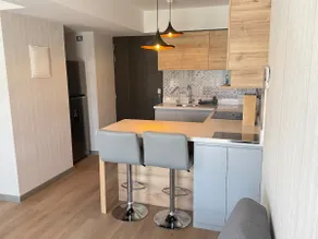 Luxury apartment - Image 3