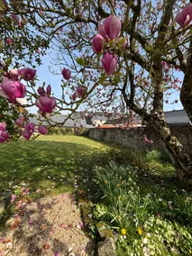House for 9 people in the center of Ploërmel • Garden • Family - Image 5