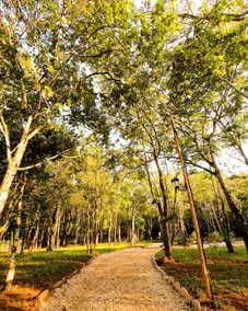 Chalé da Mata - Image 5