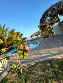 Casa Ponta da Asa - Image 2