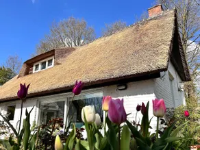Cottage Nature And So - Image 2
