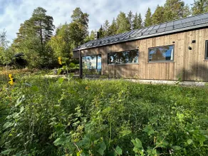 Neue Hütte am Tyrifjorden für erholsame Ferien - Image 2