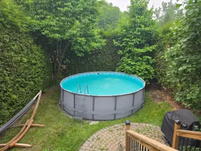 Nature's Gem in the City - Image 4