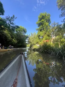 Cabure - Exclusive tiny cabin on the Sarmiento River - Image 4
