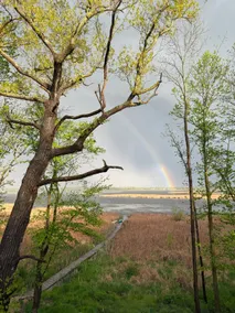 Peaceful Woodland Escape with Hot Tub & Lake Path - Image 5