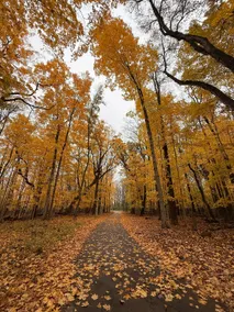Peaceful Woodland Escape with Hot Tub & Lake Path - Image 4