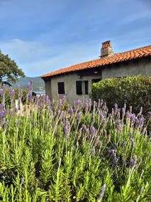 Charming Corsican house - Image 2