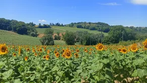 Suite Romantica Borgo di Castelleone di Deruta - Image 5