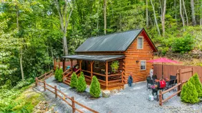Peaceful Luxury in the Smokey Mts Hot Tub Pet Fr. - Image 4