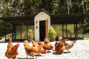 Mountain House | Pool, Animals and Playground - Image 4