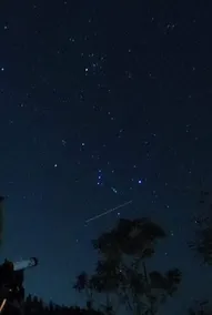 550m Cool Forest｜BBQ, Bonfire, Treehouse - Image 2