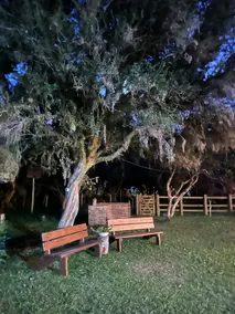 Lagoonfront Farm - Lagoa Bungalow - Image 3