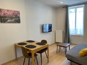 Appart'Village Le vieux Vichy centre T1,T2,T3 - Parking - Thermes - Image 2
