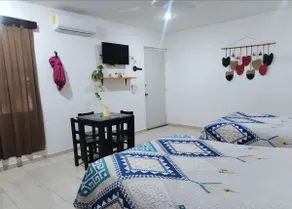 zihil house 3 - Image 2
