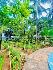 A serene relaxation spot - Image 4