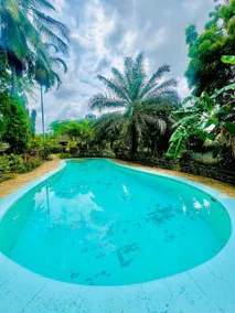 A serene relaxation spot - Image 2