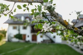 Country house on Lake Fuschl - Image 2