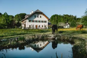 Country house on Lake Fuschl - Image 5