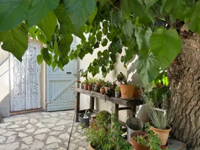 Typical Provençal house at the foot of Sainte-Baume - Image 2