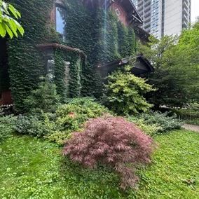 Steps to TD Coliseum, Cozy Apartment, Sleeps 3! - Image 3