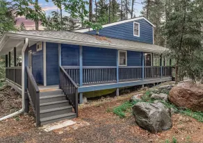 Cozy cabin in Mt. Hood Forest! Outdoor oasis! - Image 2