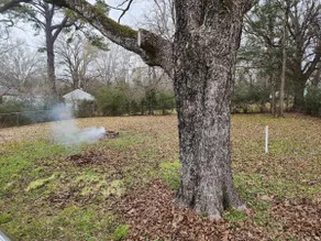 cozy meadow - Image 5