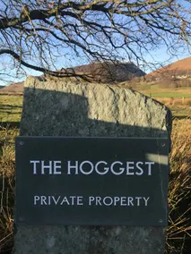 The Hoggest - Image 3