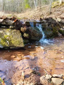 Birch Hollow, a Tranquil Catskills Home! - Image 4