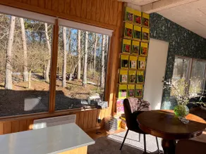Forest cabin in unique surroundings - Image 3