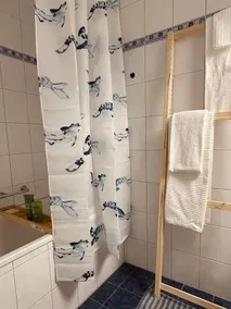 NEW renovated 2BR City Apartment - Image 5