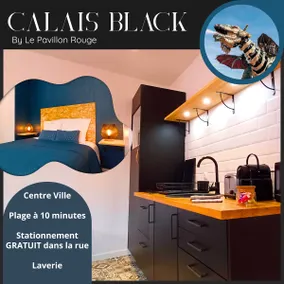 Contemporary apartment for 4 people in Calais Center - Image 3
