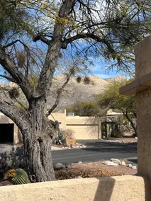 Saguaro Staycation - Image 5