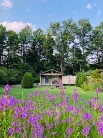Karuizawa, for solo and couple travelers | Enjoy a peaceful time | Convenience store 2 minutes away | Dream vacation cottage ”tiny” - Image 5