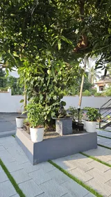 The Cozy Nest Charm - Image 5