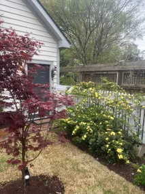 The Love Nest on the Neuse - Image 2
